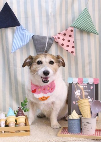 20250528こはるちゃん